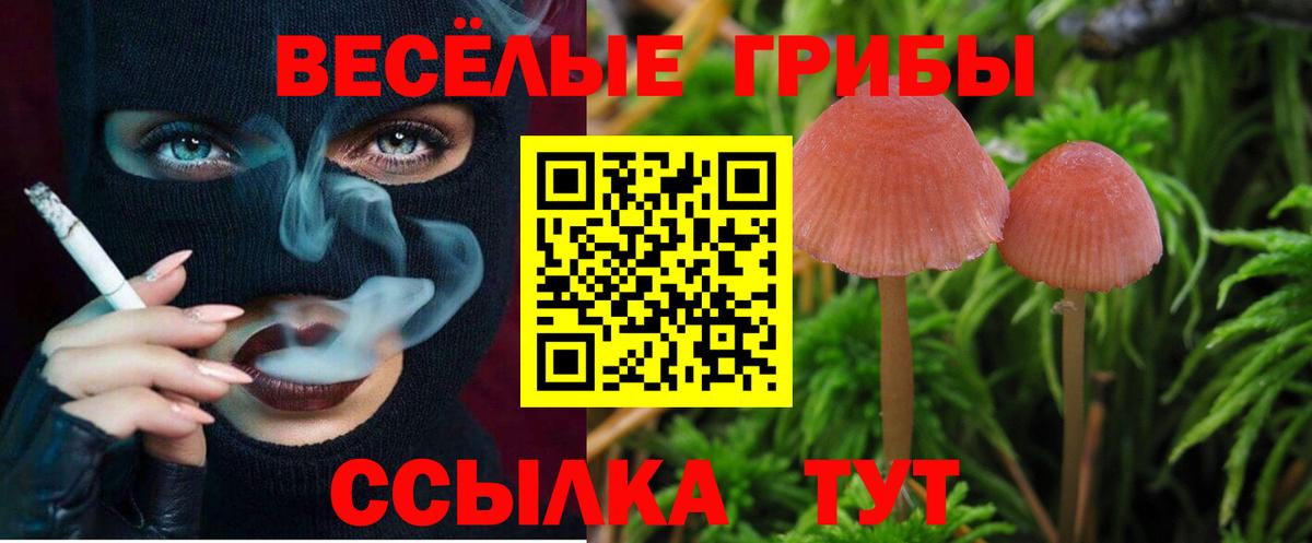 Псилоцибиновые грибы GOLDEN TEACHER  купить наркотик  Краснокаменск  Вход с VPN 