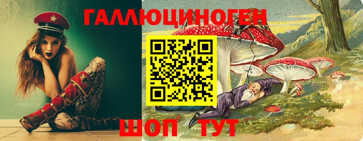 МЕФ Краснокаменск